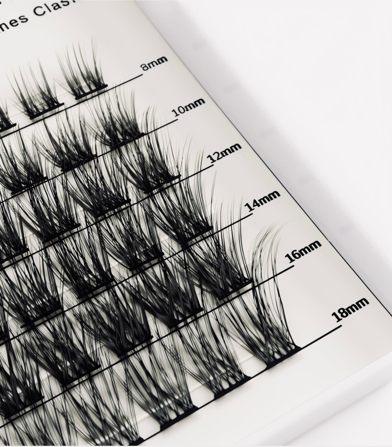 LASH CLUSTER BOOKS